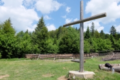 DSCF1250