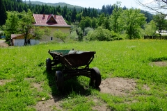 DSCF5102